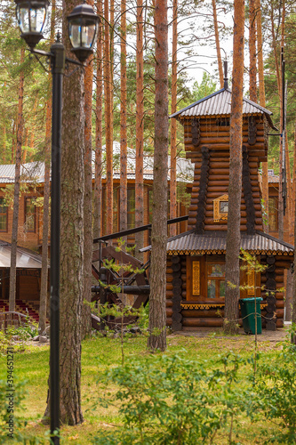 impressive wooden mill in a pine forest