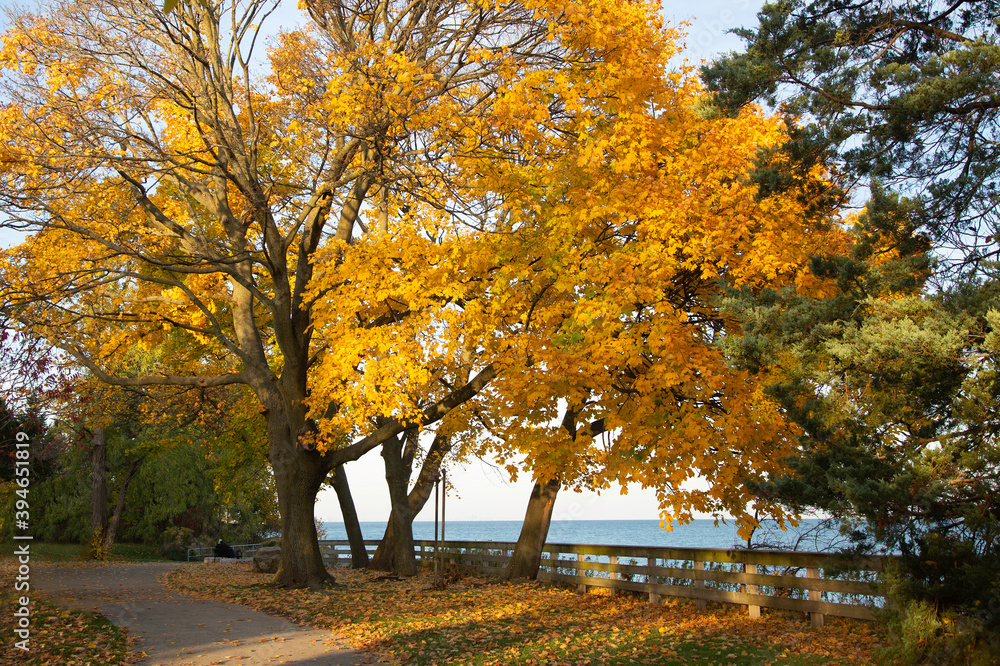 Fall at Lake Ontario