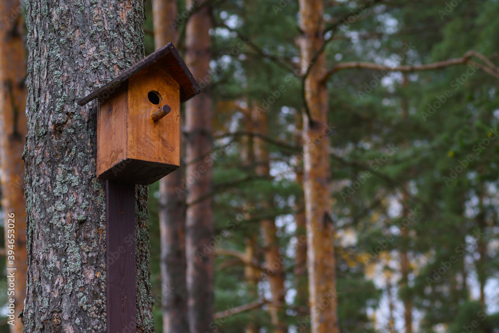 Wooden brown birdhouse on a trunk of a tree in the park. A house for the birds. Bird feeder. Copy space