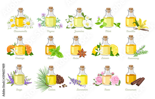 Set of essential oils in glass bottles, herbs and flowers. Vector illustration in Cartoon flat style. Aromatherapy.