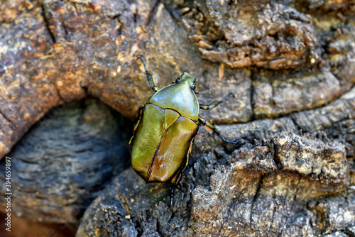 500_F_394659897_EDWkJu7visbPXt