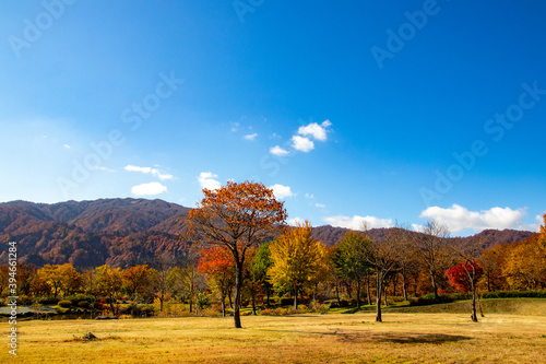 綺麗な青空と紅葉の風景 © 白太郎