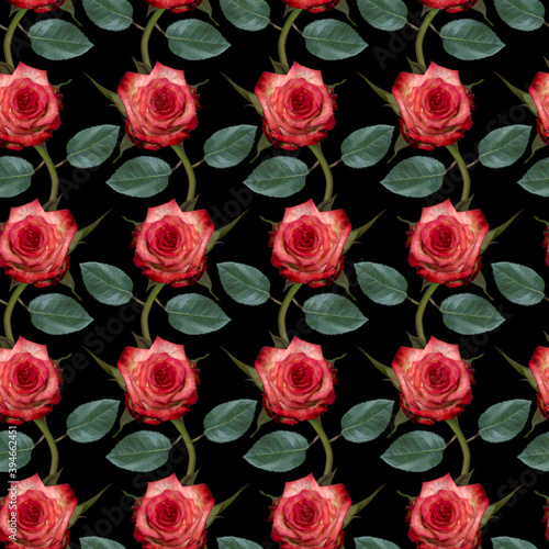 Seamless pattern with pink rose flowers and green leaves on black background. Endless colorful floral texture. Raster illustration.