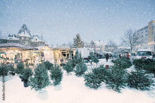 Photography Market stalls selling christmas trees on the Nieuwmarkt square during snowfall i