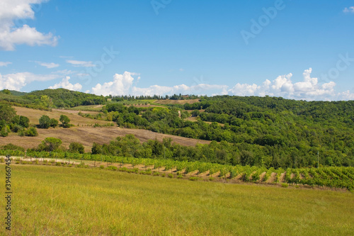 The green landscape around the historic village of Murlo  Siena Province  Tuscany  Italy 