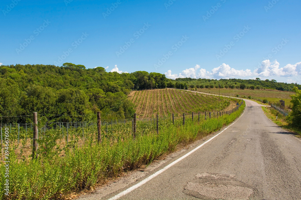 Naklejka premium The green landscape around the historic village of Murlo, Siena Province, Tuscany, Italy