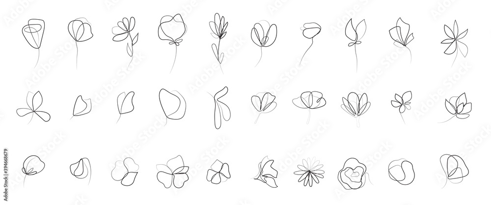Continuous one line floral art collection. Outline leaves and flowers sketchy style