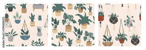 Seamless pattern set of tropical house plants, modern hand drawn exotic flowers in pots collection, colorful doodle flat style. Trendy elements in pastel colors, hipster boho style for wrapping paper  © Alice