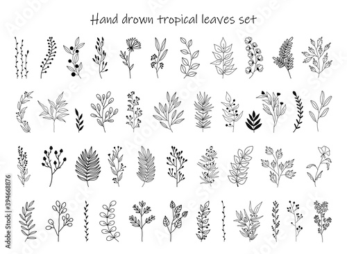 Set of black silhouettes of tropical leaves on an isolated white background. Botanical tree branches, palm leaf on the stem. Spring summer leaf. Concept design logo icons. Vector illustration.