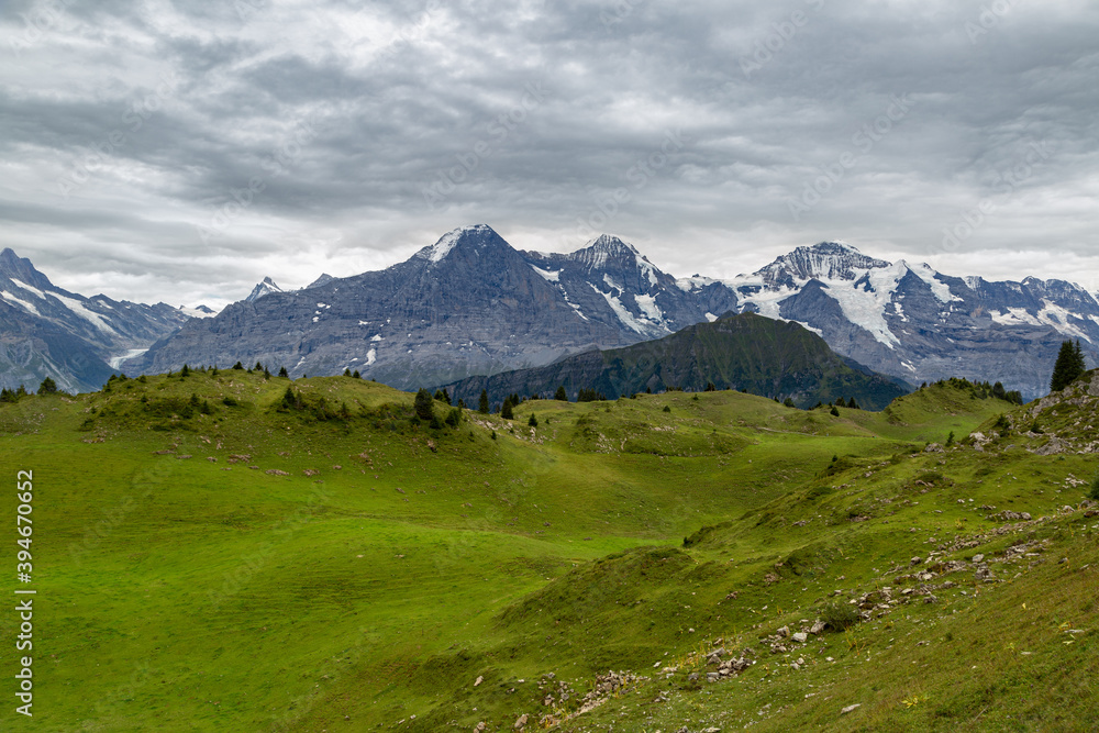 Panorama sur le massif de la Jungfrau depuis belvédère de Schynige Platte en été