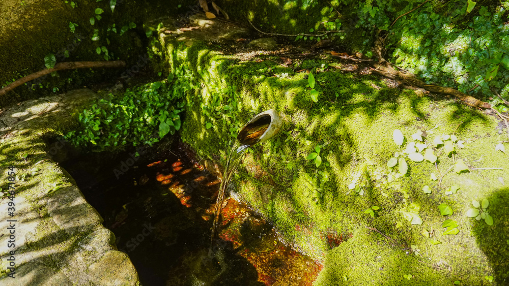 Obraz premium 雄淵・雌淵公園の湧水