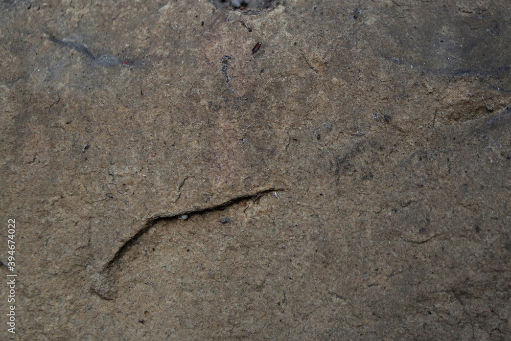 close up of a rock. Brown rock textured background. Brown stone with protuberances on the surface. Beautiful Brown Natural Stone Surface For Background. colorful digital wall tiles design for bathroom close up of a rock. Brown rock textured background. Brown stone with protuberances on the surface. Beautiful Brown Natural Stone Surface For Background. colorful digital wall tiles design for bathroom