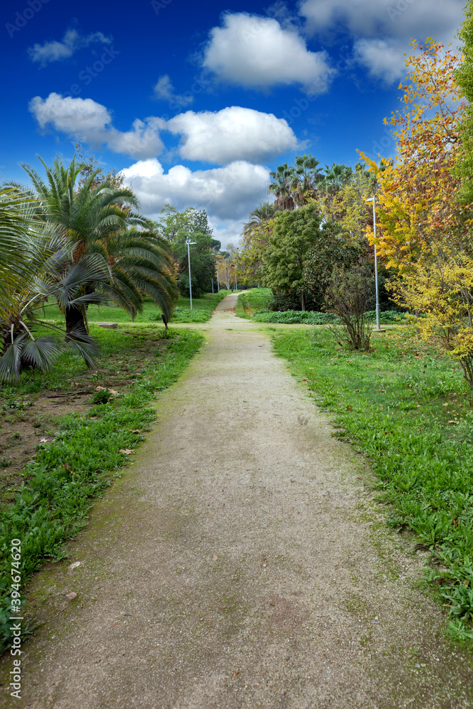 Path in a beautiful park.