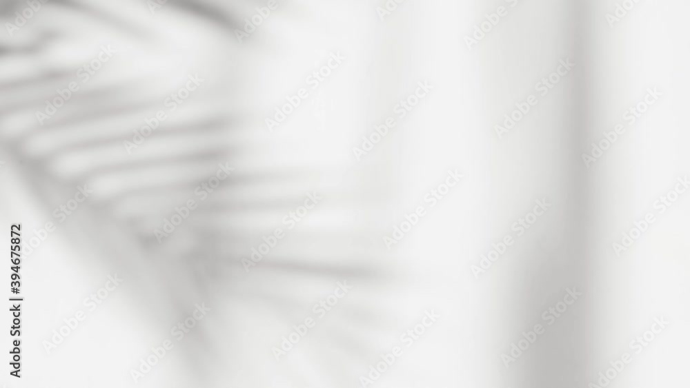 Abstract silhouette shadow white background of natural leaves tree branch falling on wall. Transparent blurry shadow of tropical leaves morning sun light.