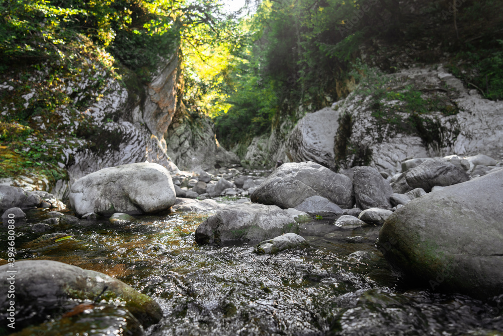 Canyon, mountain river flows between the White Rocks, subtropical forest landscape. Yew-boxwood grove, Sochi National Park Canyon, mountain river flows between the White Rocks, subtropical forest landscape. Yew-boxwood grove, Sochi National Park