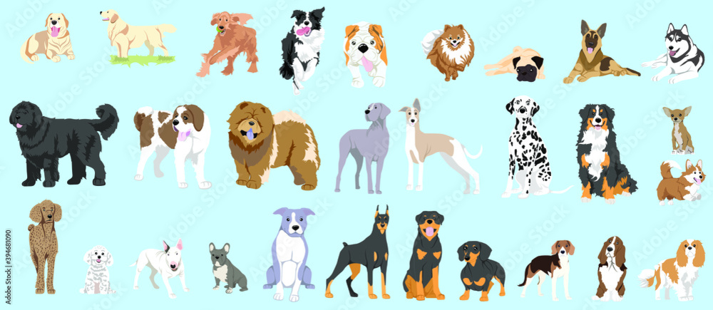 dog collection pack vector illustration for web dog collection pack vector illustration for web