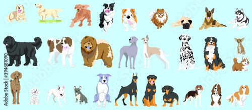 Fototapeta Naklejka Na Ścianę i Meble -  dog collection pack vector illustration for web
