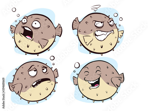 vector  illustration of a Blowfish 