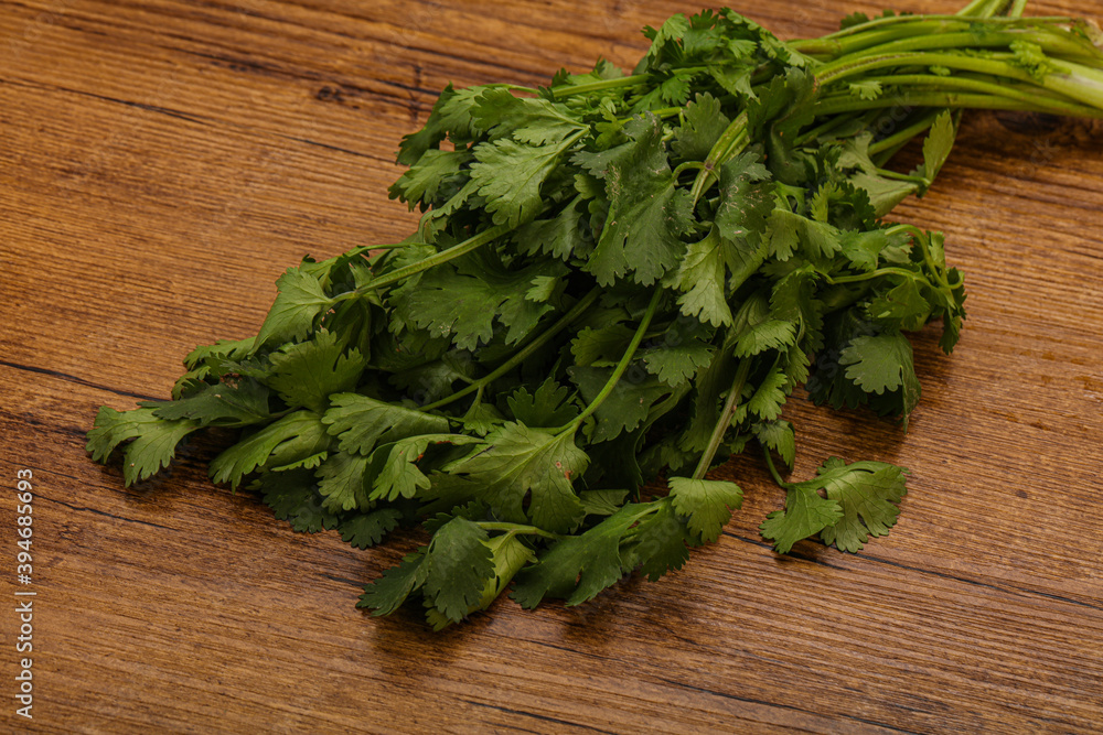 Green coriander or cilanto leaves heap Green coriander or cilanto leaves heap