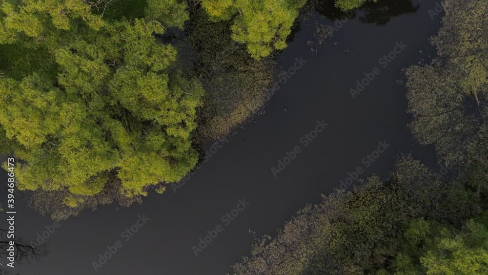 flight over the lake circular motion trees water summer flight over the lake circular motion trees water summer