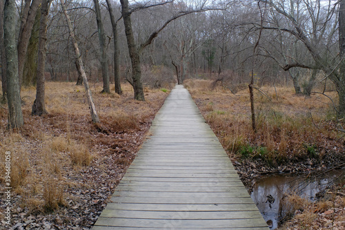 A boardwalk path along a hiking trail in Autumn