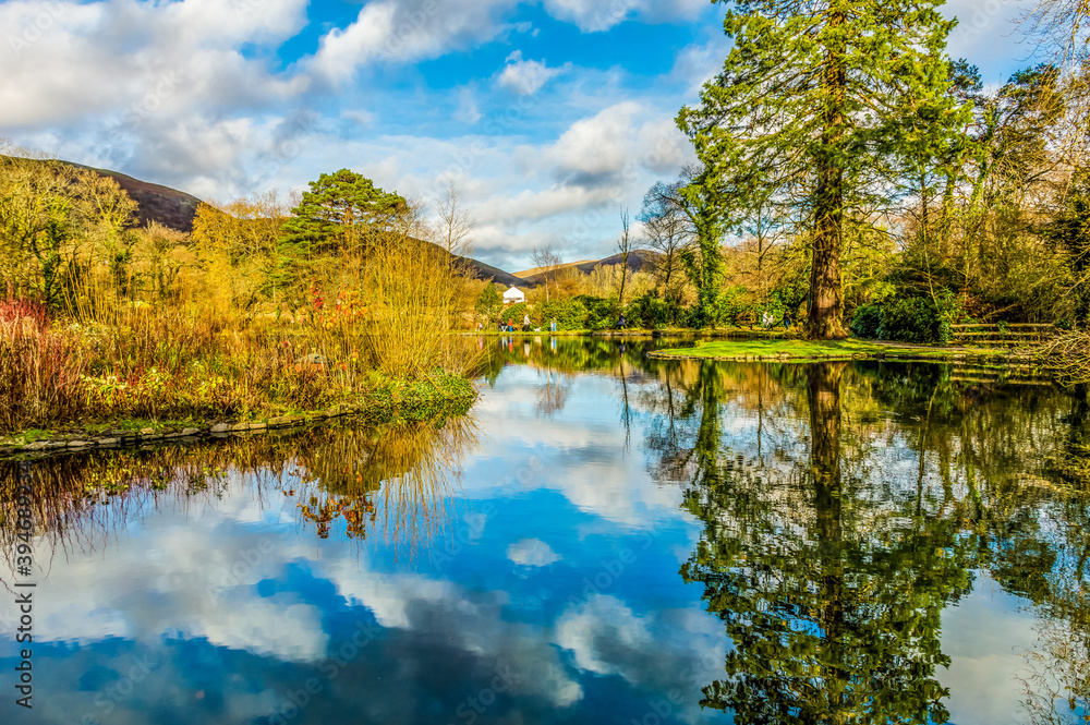 Reflection of a winters day!