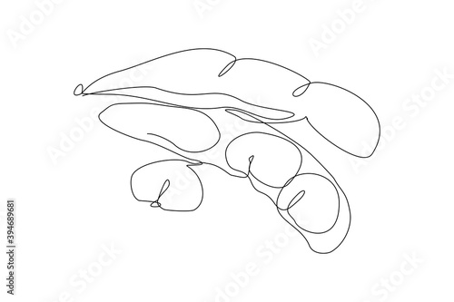 continuous line drawing of whole healthy organic green edamame for farm logo identity. One line art of fresh Japanese pea concept for vegetable icon. Vector illustration