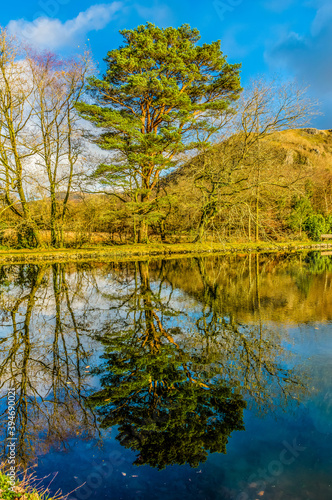 Reflection of a winters day!