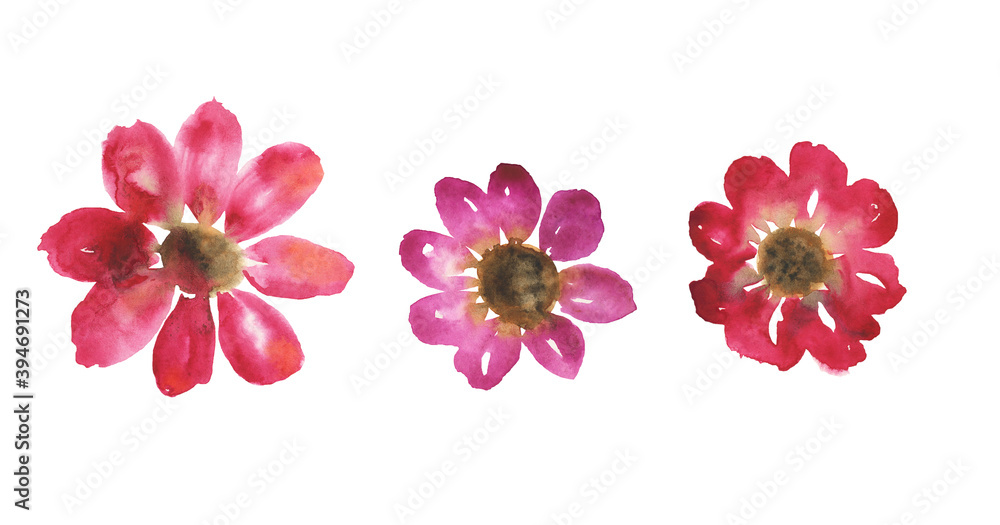 Abstract red aquarelle flower isolated on white background. Watercolor hand drawing illustration for print, card, poster, pattern. Simple and cute floral design. Abstract red aquarelle flower isolated on white background. Watercolor hand drawing illustration for print, card, poster, pattern. Simple and cute floral design.