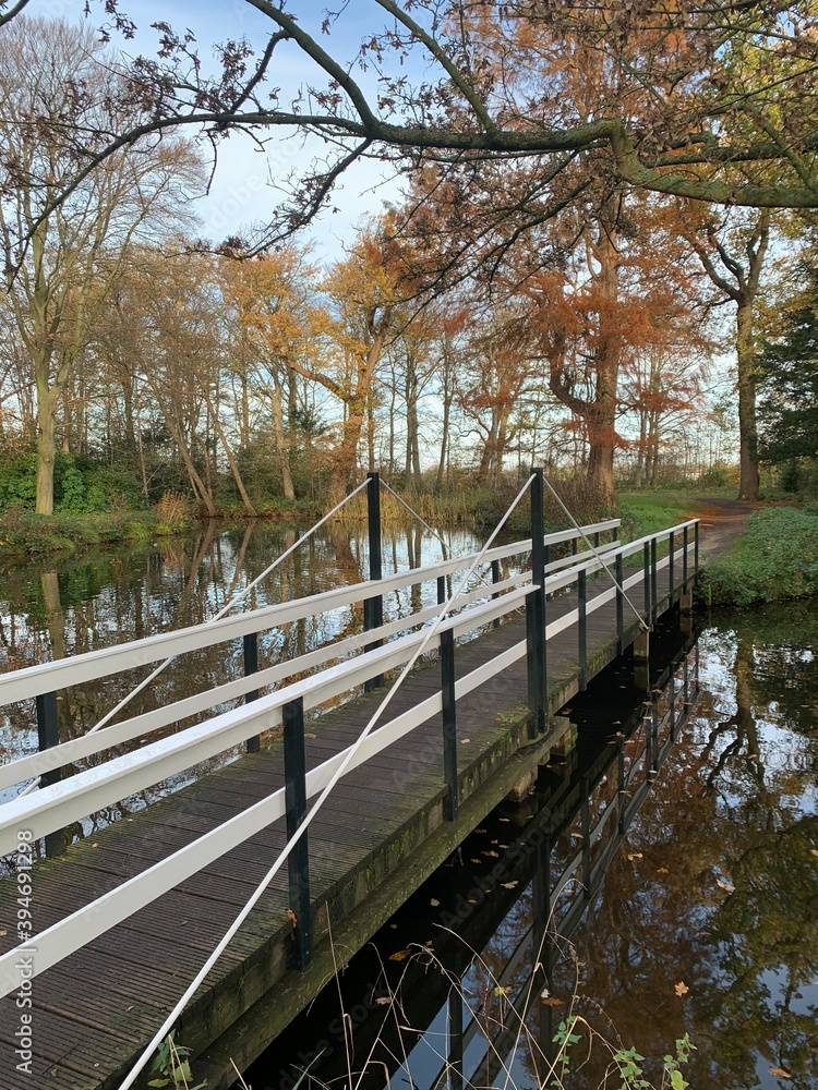 Bridge in Autemn Bridge in Autemn