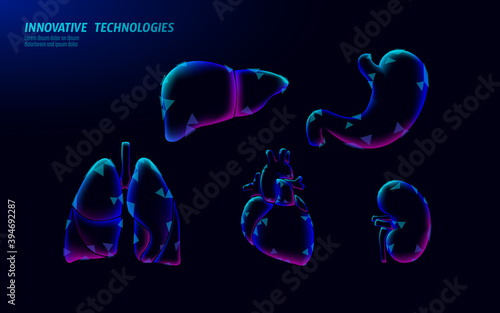 Human organ icon symbol medicine logo set. Lungs heart kidney liver stomach internal organ. Pharmacy banner doctor online vector illustration