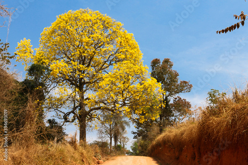 
Coffee and plantations in southern Minas Gerais, Brazil