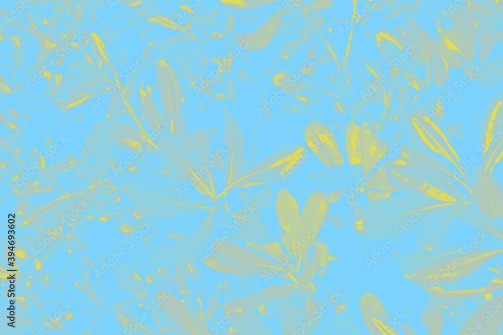 Floral background. Yellow ficus leaves on a blue background Floral background. Yellow ficus leaves on a blue background