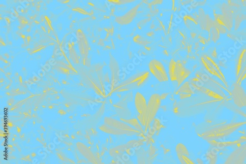 Floral background. Yellow ficus leaves on a blue background