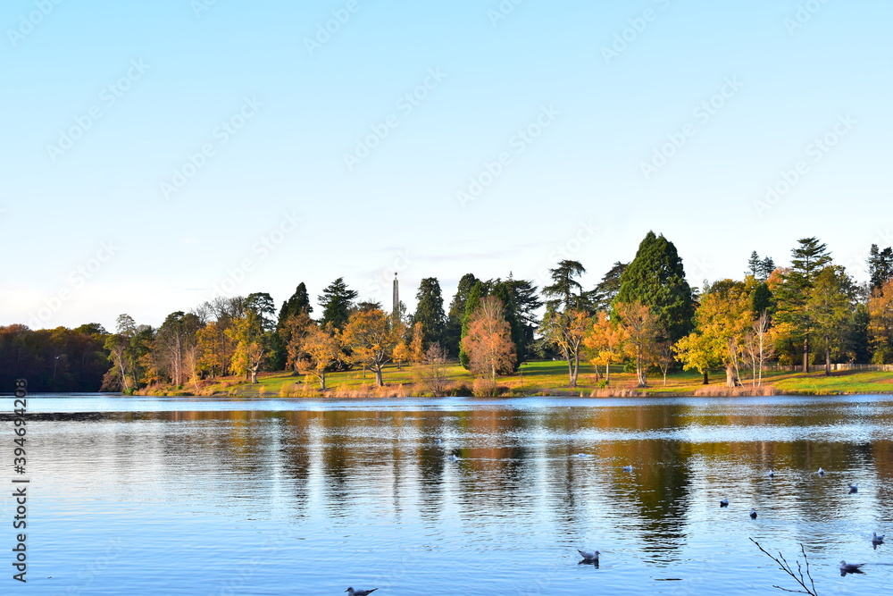 Fototapeta premium Autumn colours