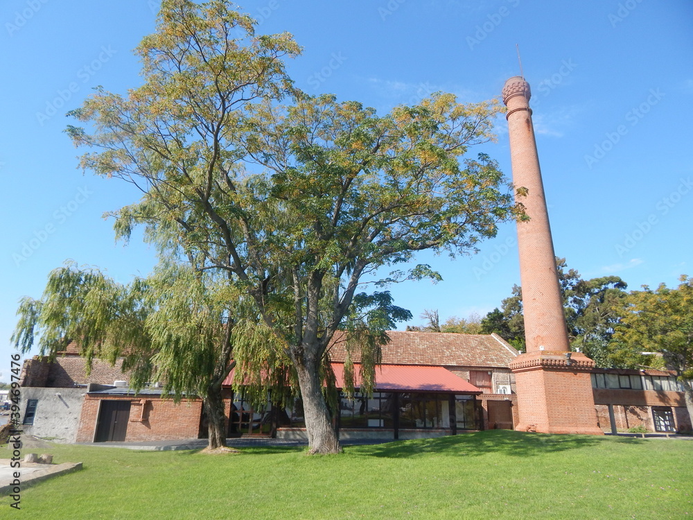 Fototapeta premium old house in the park