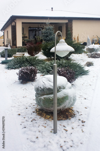 Obraz na płótnie Garden lamp in snowy garden. Cottage winter garden with barberry bushes, junipers and fir tree. w salonie