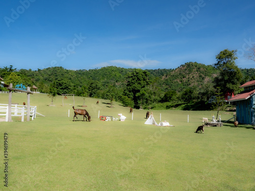 The lawn has horses, goats, mountains in the background.