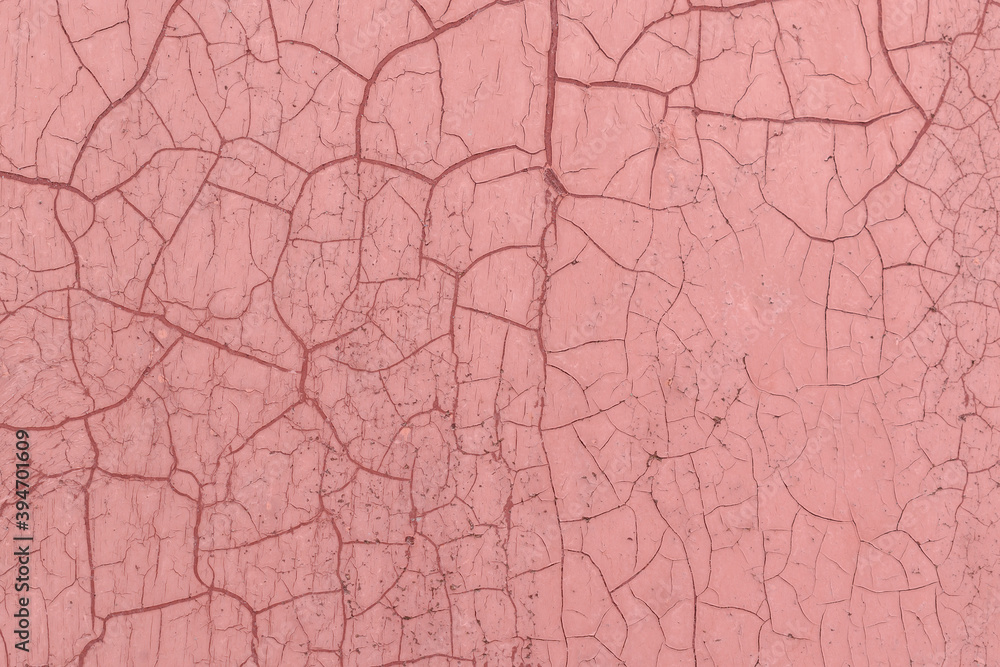 Surface for the backdrop. Old paint with cracks. Color - Rose, Hue Red. Surface for the backdrop. Old paint with cracks. Color - Rose, Hue Red.