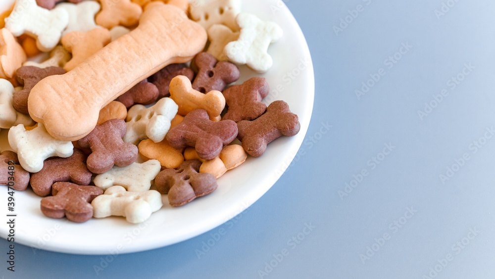 Food for pets such as dogs and cats in a white saucer on a blue background with a place for text. Delicacy close-up. Concept for advertising pet food Food for pets such as dogs and cats in a white saucer on a blue background with a place for text. Delicacy close-up. Concept for advertising pet food