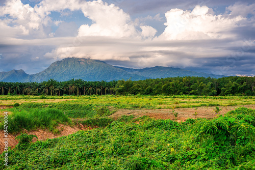 Landscape mountain view with blue sky