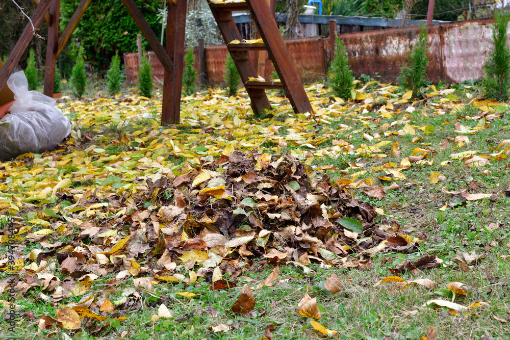 Fototapeta premium Yellow leaves in autumn fall on the stairs of a small house in the garden