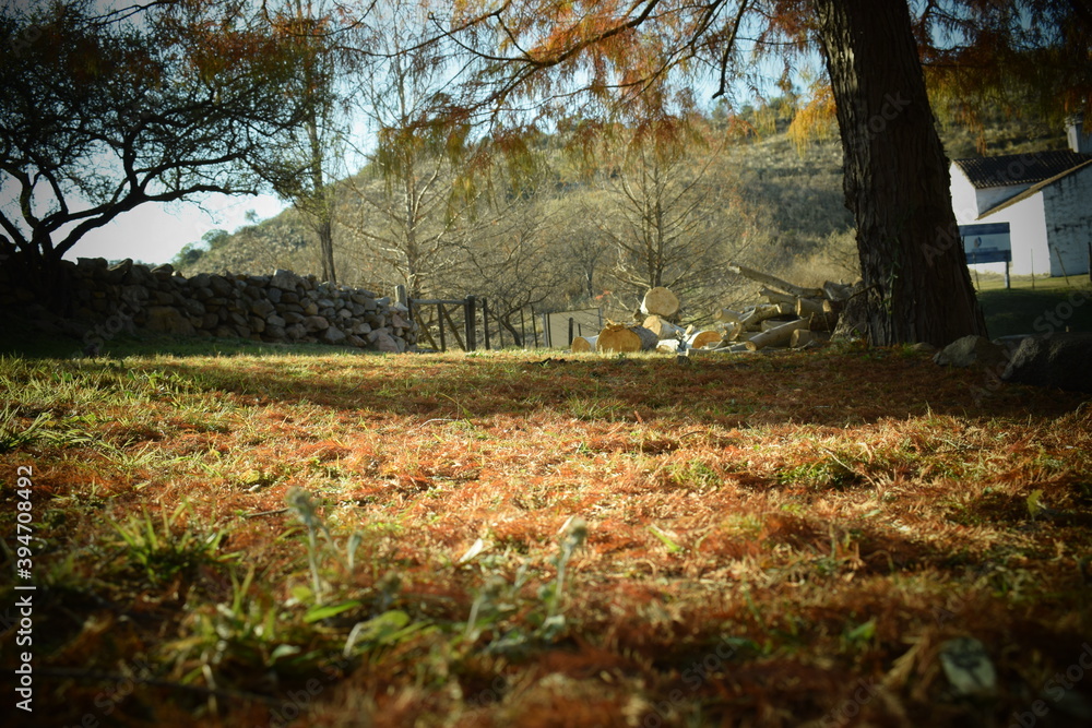 Otoño Otoño