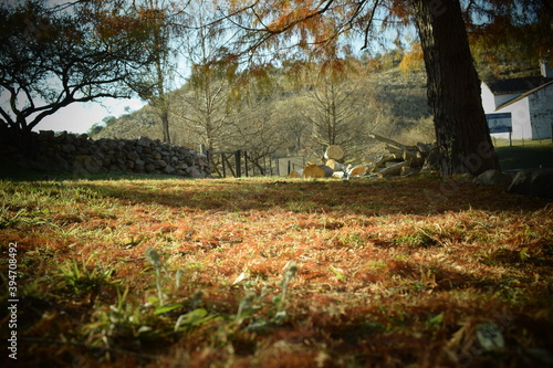 Otoño