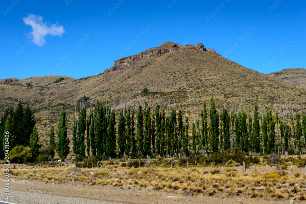 Landscape with dry vegetation in summer in the mountains. Hot sunny day in the mountains. Green pine trees and rock in the distance.