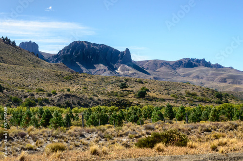 Landscape with dry vegetation in summer in the mountains. Hot sunny day in the mountains. Green pine trees and rock in the distance.