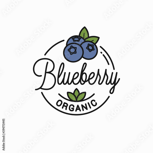 Blueberry logo. Round linear of organic blueberry