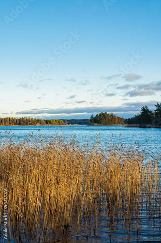 Evening view to the sea shore and Gulf of Finland, Kopparnas-Klobbacka recreation area, Finland