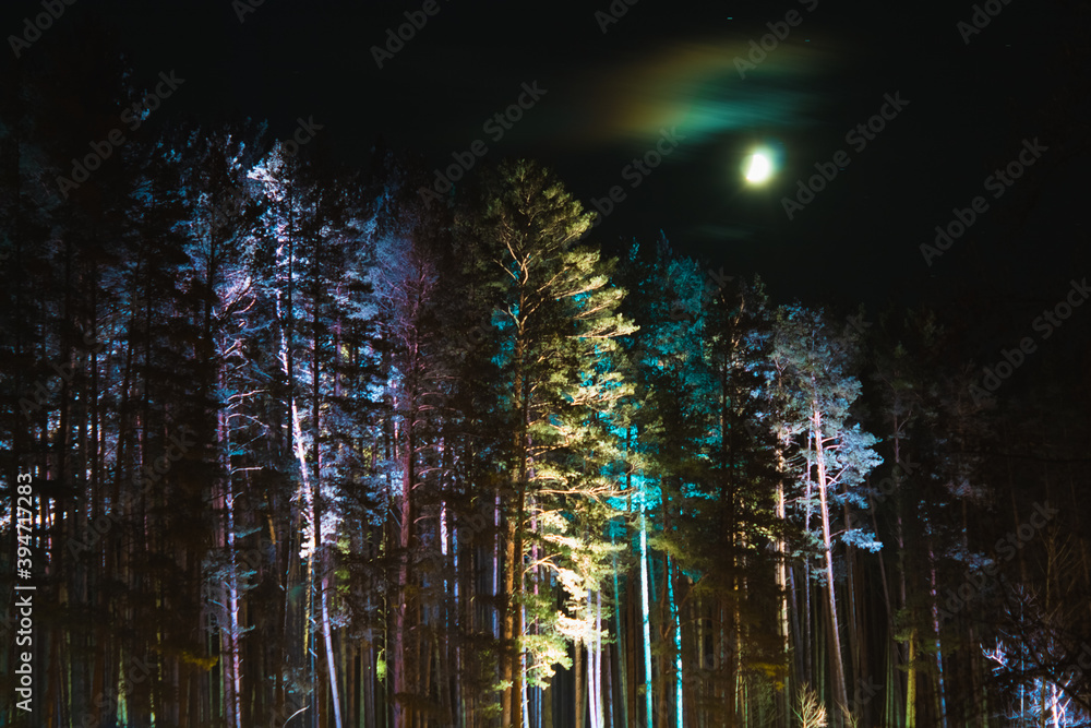 trees in the park illuminated by colored spotlights and the moon behind the clouds