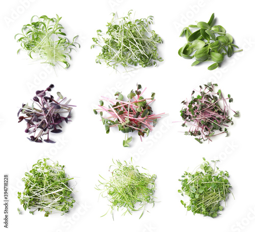 Set of different fresh microgreens on white background, top view photo
